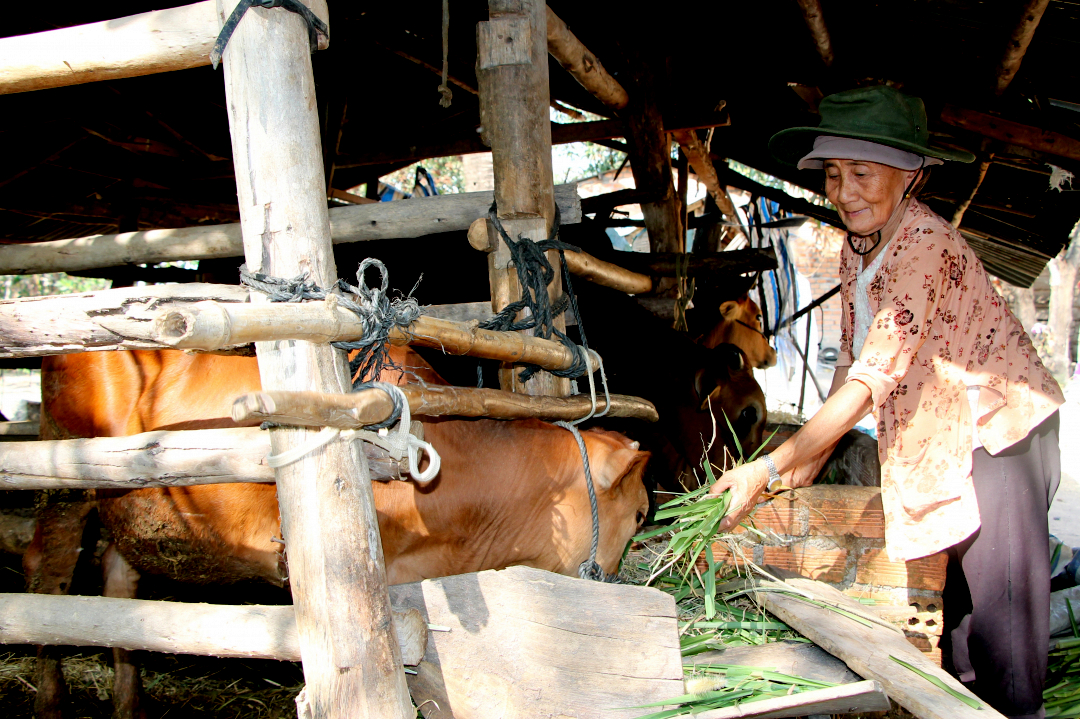 Đắk Lắk: Hiệu quả Chương trình tiết kiệm làm theo lời Bác tại Krông Bông (17/5/2023)